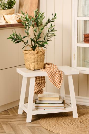 Plante - Olivenbusk, Plastik