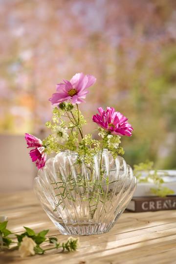 Vase - Muslingevase, Glas