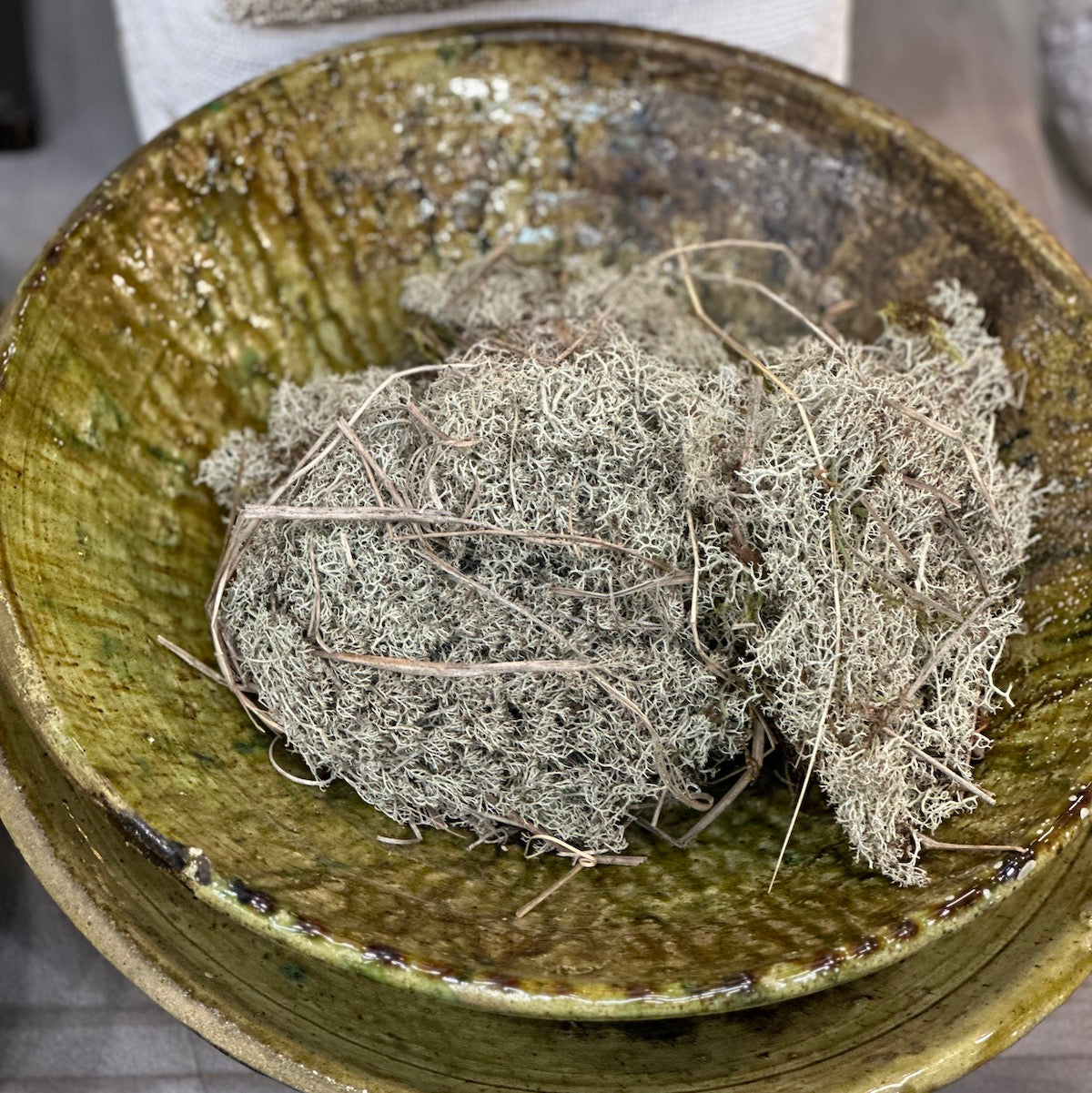 Fad - Le Village, Sahara