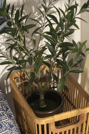 Plante - Olivenbusk, Plastik