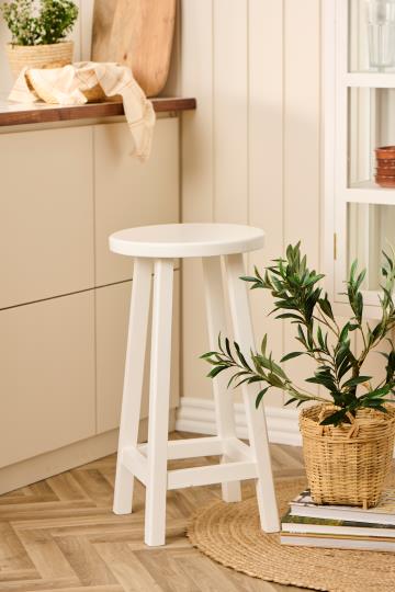 Plante - Olivenbusk, Plastik