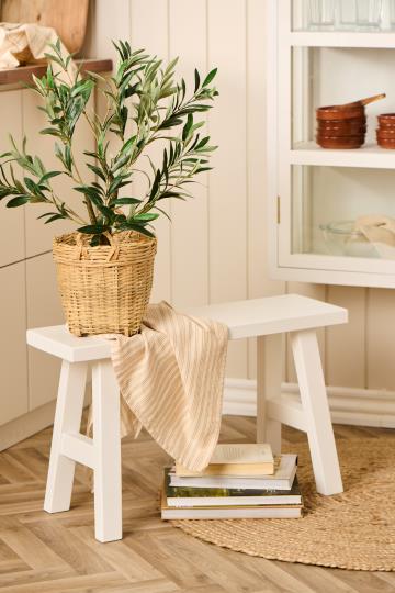 Plante - Olivenbusk, Plastik