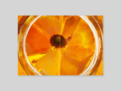 Magasin - F Issue 08 (HONEY)