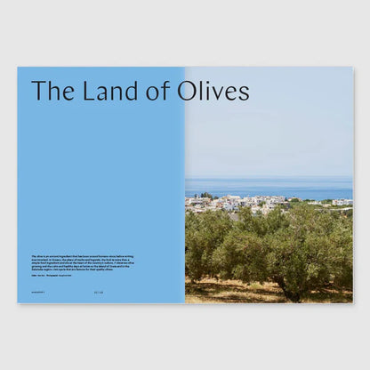 Magasin - F Issue 22 (OLIVE)