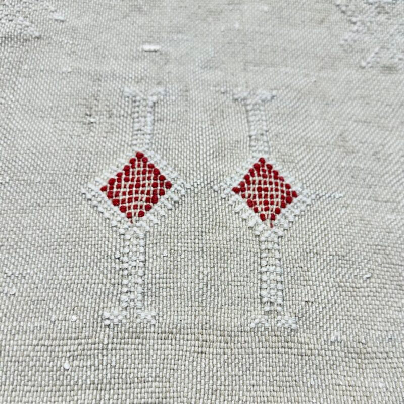 Pude - Sabra Kaktussilke, Beige