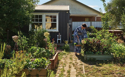 Bog - The Japanese Art of Pickling & Fermenting