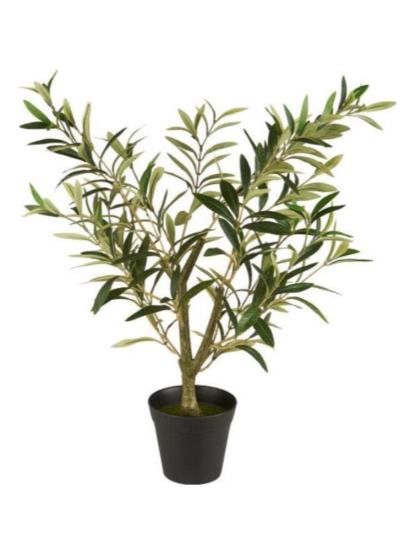 Plante - Olivenbusk, Plastik