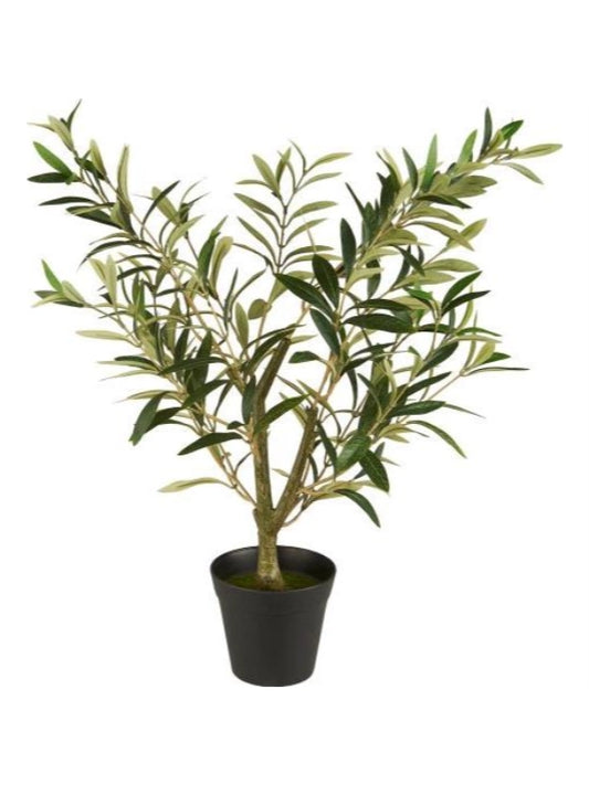 Plante - Olivenbusk, Plastik