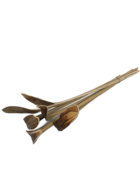 Skohornskvist (7. styk/pak)