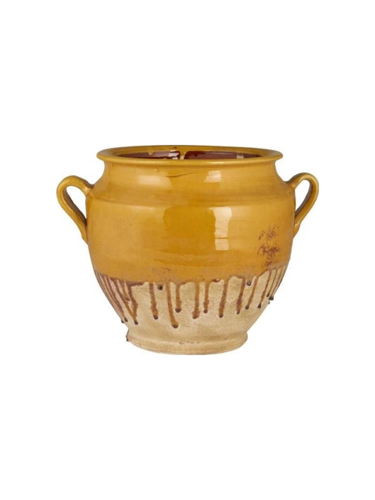 Krukke - Avignon, Gul