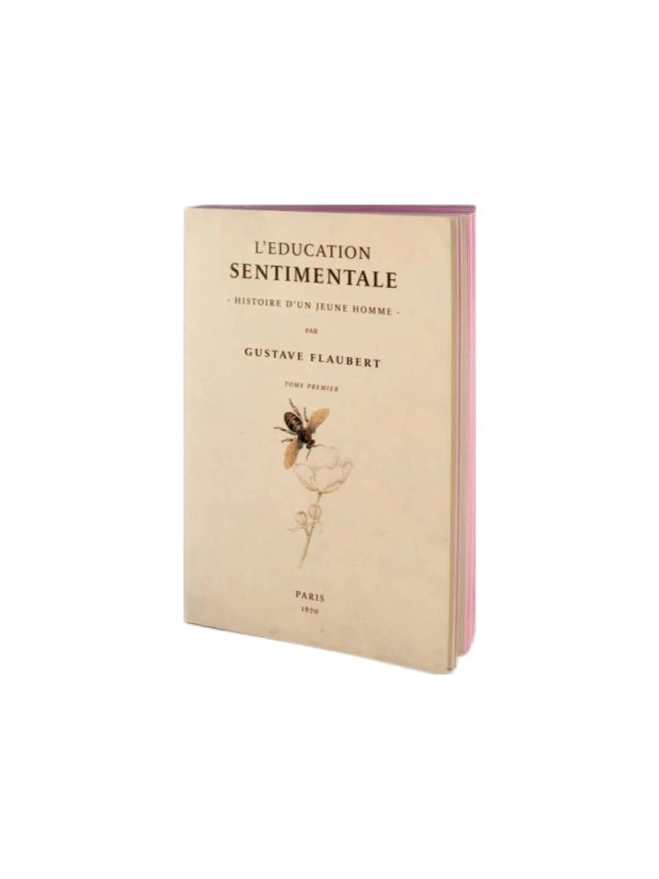 Notesbog - L' Education Sentimentale