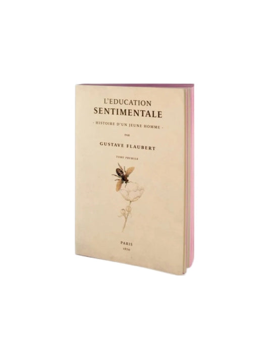 Notesbog - L' Education Sentimentale