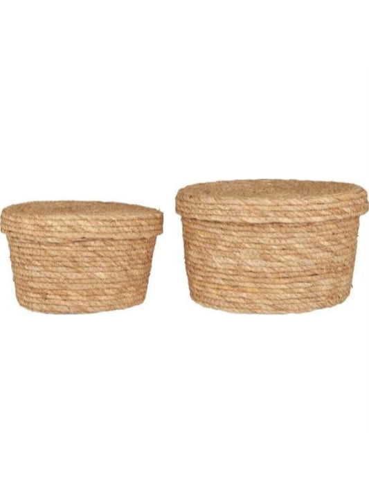 Kurve - (sæt) Søgræs