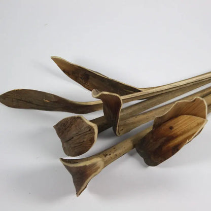 Skohornskvist (7. styk/pak)